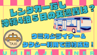 ウミカジライナー 琉球ホテル&リゾート名城ビーチ レンタカーなし